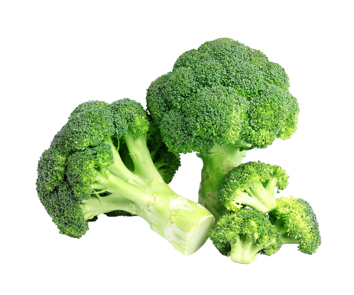 บล็อคโคลี่  Broccoli