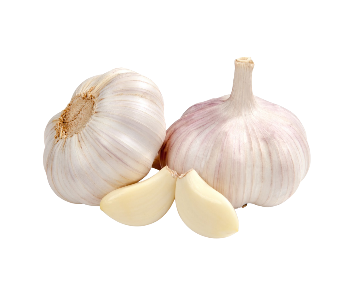 กระเทียมจีน Garlic