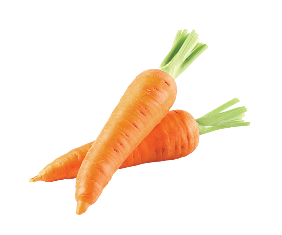 แครอท Carrot