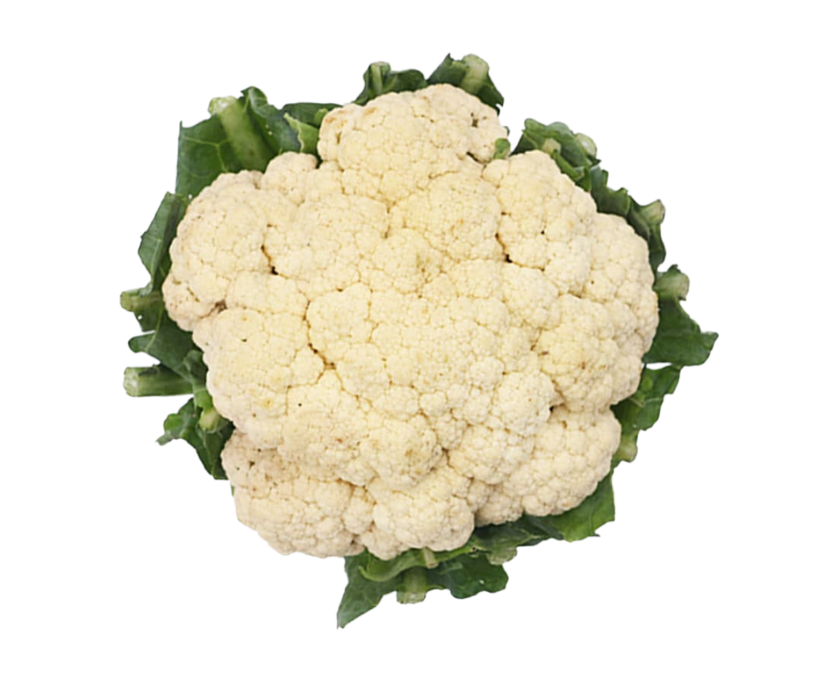 กะหล่ำดอก Cauliflower