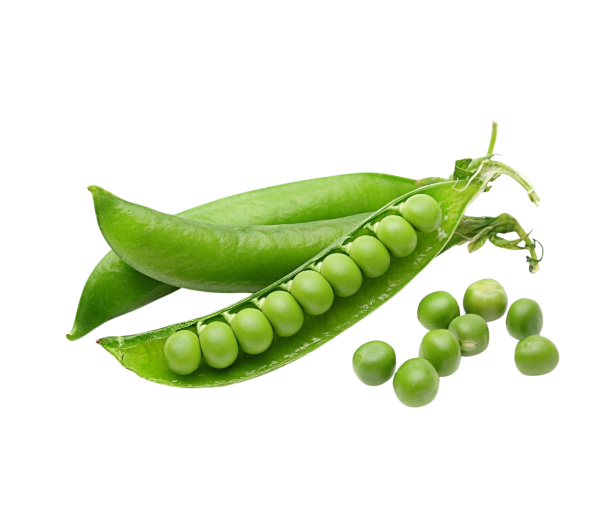 ถั่วลันเตาหวาน Green Peas