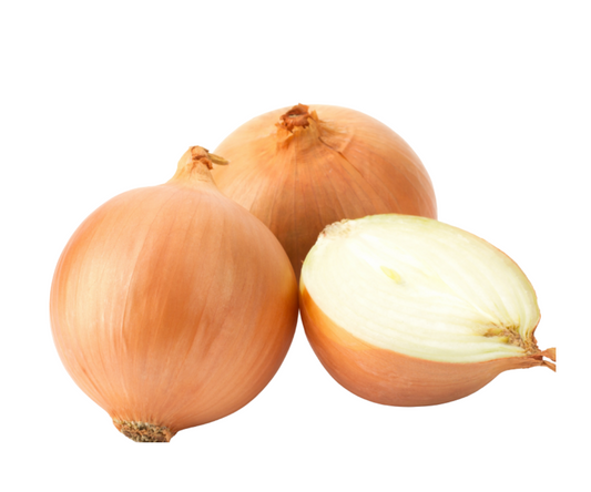 หอมหัวใหญ่ Onion