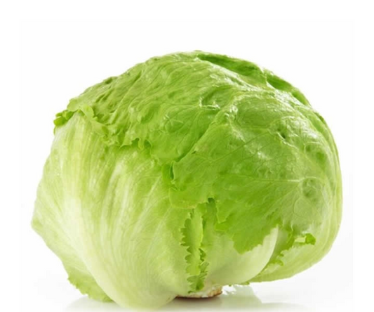 ผักกาดแก้ว Iceberg lettuce