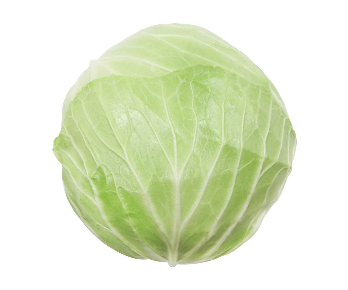 Cabbage