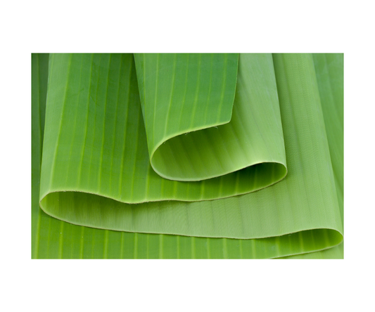 ใบตอง Banana Leaf