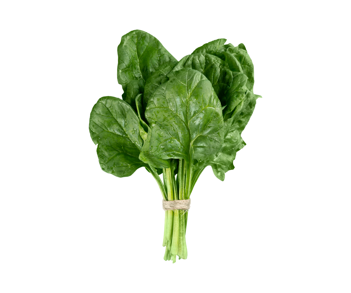 ผักโขม Spinach